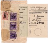 Briefmarken
Deutschland
Deutsche Kolonien und Nebengebiete, Danzig, Freie Stadt
Danzig (Port Gdansk): Vordruck-Zahlungsformular, 1925 bis 1929, gef...