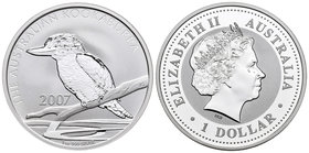 Australia. Elizabeth II. 1 dollar. 2007. JG. (Km-2007). Ag. 31,56 g. Kookaburra. PR. Est...25,00.
