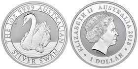 Australia. Elizabeth II. 1 dollar. 2018. Perth. P. Ag. 31,11 g. Swan. PR. Est...25,00.