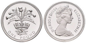United Kingdom. Elizabeth II. 1 libra piedfort. 1984. (Km-P4). Ag. 19,04 g. PR. Est...50,00.