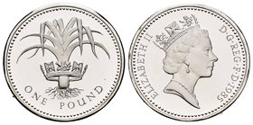 United Kingdom. Elizabeth II. 1 libra piedfort. 1985. (Km-P5). Ag. 19,00 g. Con certificado. PR. Est...50,00.