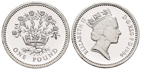 United Kingdom. Elizabeth II. 1 libra piedfort. 1986. (Km-P6). Ag. 19,24 g. PR. Est...50,00.