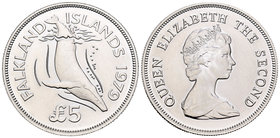 Falkland Islands. Elizabeth II. 5 libras. 1979. (Km-11). Ag. 28,28 g. Ballena. Tirada de 3432 piezas. PR. Est...25,00.