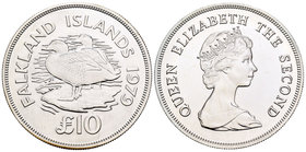 Falkland Islands. Elizabeth II. 10 libras. 1979. (Km-12). Ag. 35,00 g. Patos. Tirada de 3247 piezas. PR. Est...30,00.