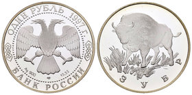 Russia. 1 rublo. 1997. (Km-Y613). Ag. 17,55 g. Bisonte Europeo. PR. Est...35,00.