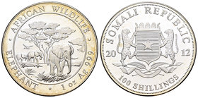 Somalia. 100 shillings. 2012. Ag. 31,11 g. Elephant. PR. Est...40,00.