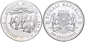 Somalia. 100 shillings. 2013. Ag. 31,11 g. Elephant. PR. Est...40,00.