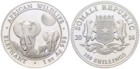 Somalia. 100 shillings. 2014. Ag. 31,11 g. Elephant. PR. Est...40,00.