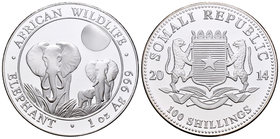 Somalia. 100 shillings. 2014. Ag. 31,11 g. Elephant. PR. Est...40,00.