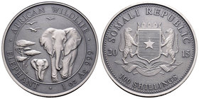 Somalia. 100 shillings. 2015. Ag. 31,11 g. Elephant. Antique finish. Con certificado. UNC. Est...40,00.