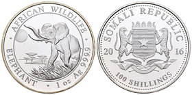 Somalia. 100 shillings. 2016. Ag. 31,11 g. Elephant. PR. Est...40,00.