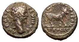 Septimius Severus, 193 - 211 AD, Assarion of Nicopolis