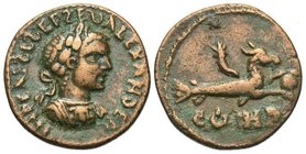 Severus Alexander, 222 - 235 AD, AE21, Mysia, Parium