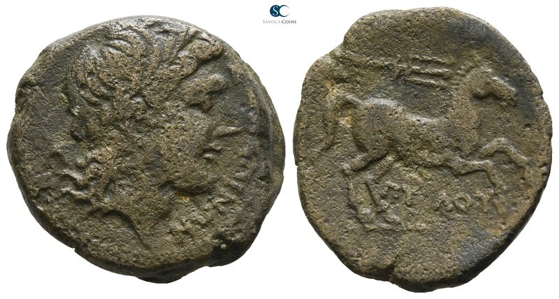 Apulia. Salapia 225-210 BC. 
Bronze Æ

19 mm., 6.25 g.



very fine