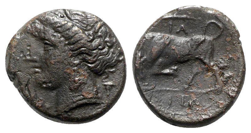 Sicily. Syracuse. Hieron II 275-215 BC. 
Bronze Æ

18 mm., 5.55 g.



nea...