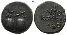 Colchis. Dioskourias 150-50 BC. Bronze Æ
