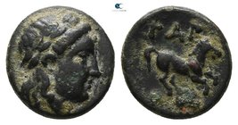 Troas. Gargara 400-284 BC. Bronze Æ