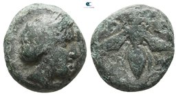 Troas. Gentinos circa 400-300 BC. Bronze Æ