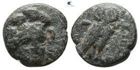 Troas. Sigeion 355-334 BC. Bronze Æ