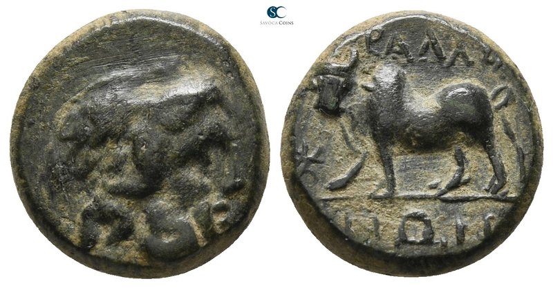 Lydia. Tralleis 300-200 BC. 
Bronze Æ

13 mm., 2.66 g.



very fine