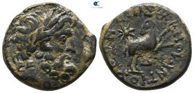 Seleucis and Pieria. Antioch. Under Roman Protectorate AD 11-17.  Year 44 of the Actian Era (A.D. 13/4). Bronze Æ