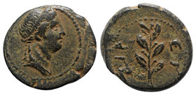 Seleucis and Pieria. Antioch. Pseudo-autonomous issue AD 68-69. Dated year 117 of the Caesarean Era. Dichalkon Æ