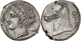 GRÈCE. Afrique du Nord, Carthage (310 av. J.C). Tétradrachme. Av. Tête de Tanit à gauche. Rv. Tête de cheval, derrière un palmier. Jenkins 227. 16,72 ...
