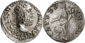 EMPIRE ROMAIN. Clodius Albinus (195-197). Denier 195-197, Lyon. Av. Buste lauré à droite. Rv. Salus debout, nourrissant un serpent. RIC. 39, C. 73. 2,...