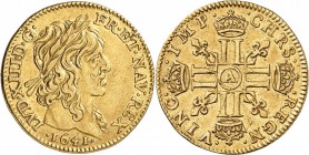 FRANCE. Louis XIII (1610-1643). ½ louis d’or à la mèche longue 1641, Paris. Av. Tête laurée à droite. Rv. Croix formée de huit L adossés et couronnés....