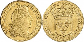 FRANCE. Louis XIV (1643-1715). 1/2 louis d’or à l’écu 1690, Rouen, réformation. Av. Tête laurée à droite. Rv. Écu de France couronné. G. 239, Dup. 143...
