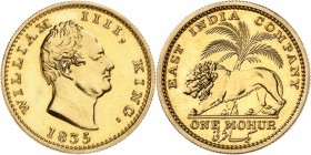 INDE. Guillaume IV (1830-1837). Mohur 1835, refrappe. Av. Tête nue à droite. Rv. Lion devant un palmier. Fr. 1593. 11,65 grs. Petite marque à l’avers ...