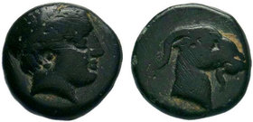 AEOLIS. Aigai. 4th-3rd centuries BC. AE Bronze

Condition: Very Fine

Weight: 0.86 gr
Diameter: 9 mm