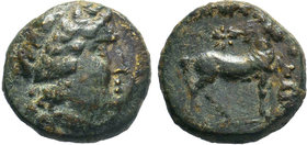 Asia minor Greek c.300 BC, Ae 

Condition: Very Fine

Weight: 5.84 gr
Diameter: 16 mm