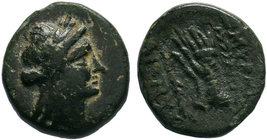 Ionia. Smyrna Æ12 / Hand in Caestus. circa 190-170 BC

Condition: Very Fine

Weight:2.04 gr
Diameter: 13 mm