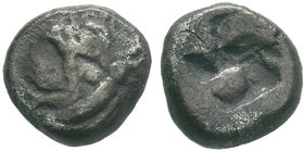 Phokaia AR , late 6th Century BC

Condition: Very Fine

Weight: 1.51 gr
Diameter: 9 mm