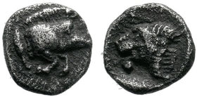 MYSIA.Kyzikos .( 450-400 BC).AR Obol.

Condition: Very Fine

Weight: 0.28 gr
Diameter: 7 mm