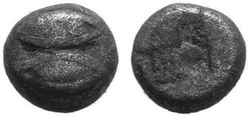 Mysia. Kyzikos 550-500 BC.
Obol AR

Condition: Very Fine

Weight: 0.34 gr
Diameter: 5 mm
