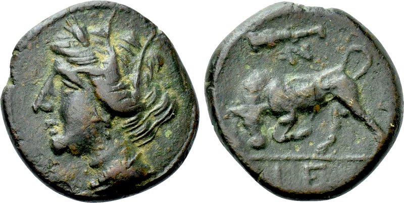 SICILY. Syracuse. Hieron II (275-215 BC). Ae. 

Obv: Wreathed head of Kore lef...
