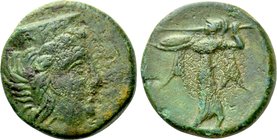 ARGOLIS. Argos. Dichalkon (Circa 280-260  BC).