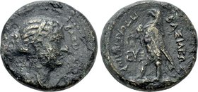 PTOLEMAIC KINGS OF EGYPT. Berenike II (Circa 244/3-221 BC). Ae Tritartemorion. Heraclea by the Sea or Seleucia in Pieria.