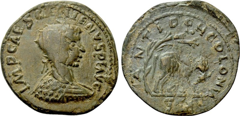 PISIDIA. Antioch. Gallienus (253-268). Ae. 

Obv: IMP CAES GALLIENVS PF AVG. ...