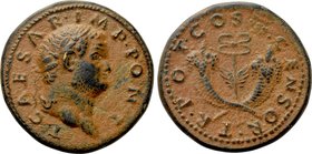 SELEUCIA & PIERIA. Antioch. Titus (Caesar 69-79). Ae.