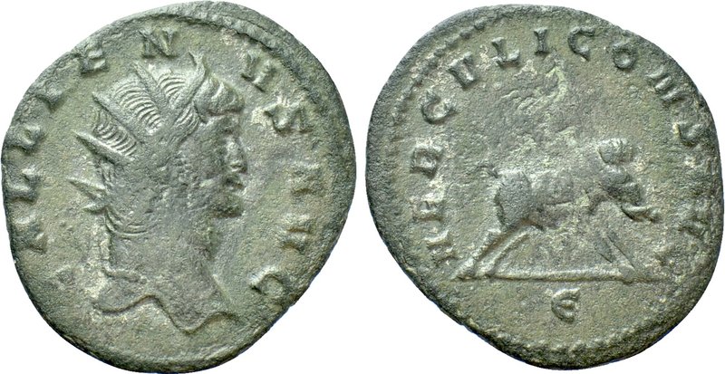 GALLIENUS (253-268). Antoninianus. Rome. 

Obv: GALLIENVS AVG. 
Radiate head ...