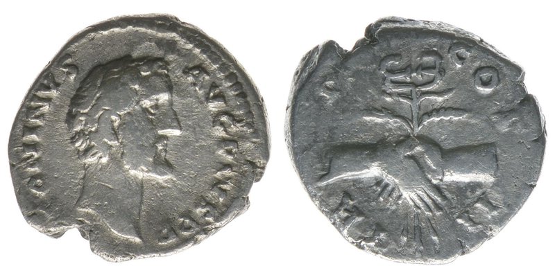 ROM Kaiserzeit Antoninus Pius 138-161
Denar
ANTONINVS AVG PIVS P P / COS II TR P...