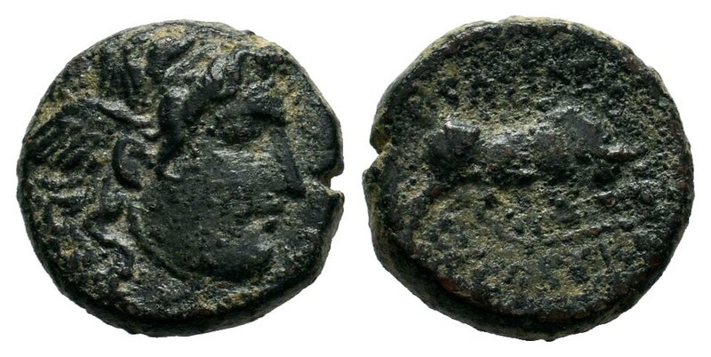 SELEUKID KINGS OF SYRIA. Seleukos I (312-281 BC). Ae. Antioch.

Condition: Very ...