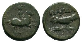 TROAS, Dardanos. 4th century BC.AE Bronze

Condition: Very Fine

Weight: 2.19gr
Diameter: 13.75mm

From a Private Dutch Collection.