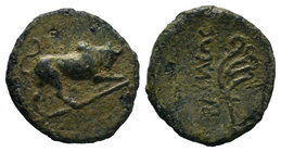 KINGS OF CILICIA. Philopator, circa 20 BC-17 AD. Dichalkon 

Condition: Very Fine

Weight: 1.85gr
Diameter: 16.44

From a Private UK Collection.