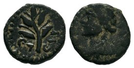 Antioch, Syria, AE18, 3.64 g. Dated year 104 of the Caesarean era, = AD 55-56. 

Condition: Very Fine

Weight: 3.64gr
Diameter: 18mm

From a Private D...