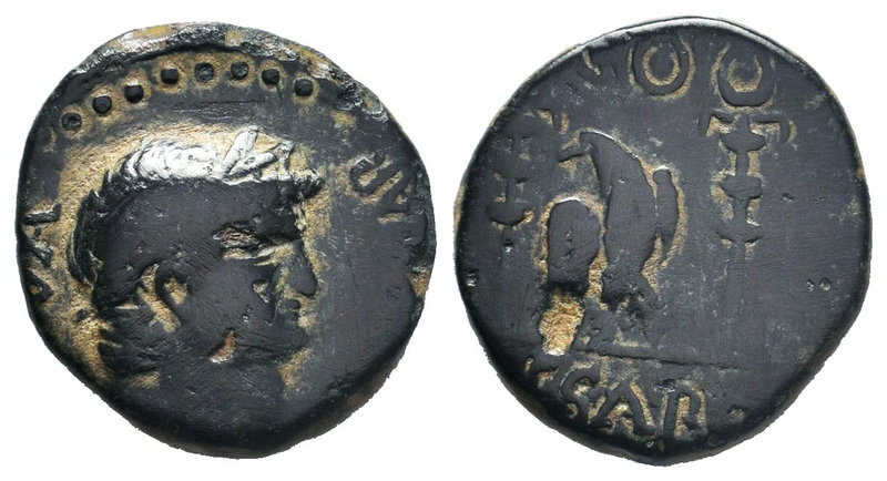 Nero (54-68). Pisidia, Antioch. Æ (19mm, 6.39g, 12h). Laureate head r. R/ Eagle ...