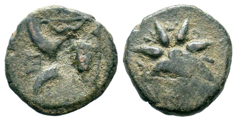 Pontos. Uncertain mint. Time of Mithradates VI Eupator circa 130-100 BC. AE bron...